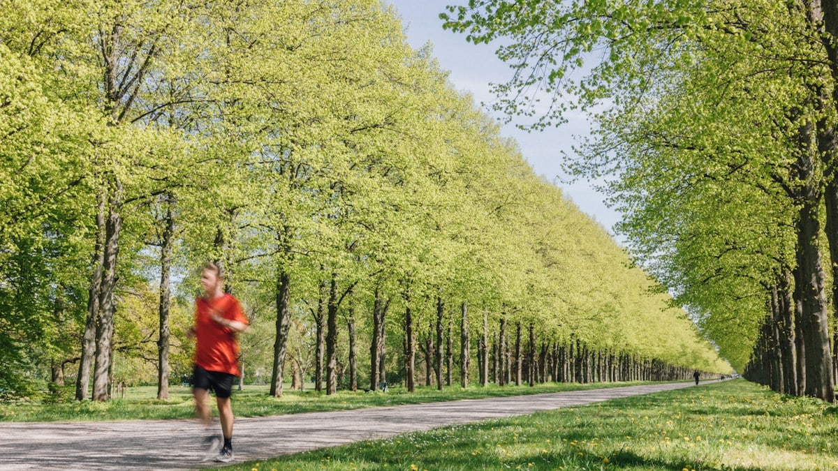 a man running down a tree lined road